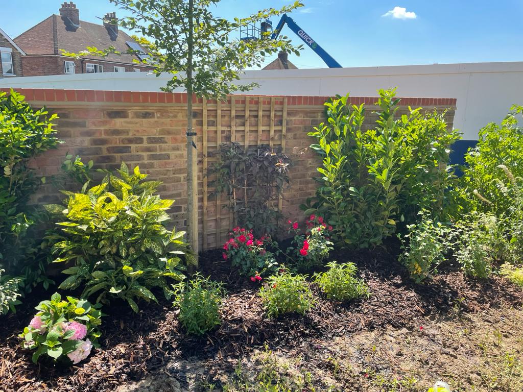 Rockpool - 1 - 4 teynham landscaping, kent, south east, garden maintenance, commercial maintenance,