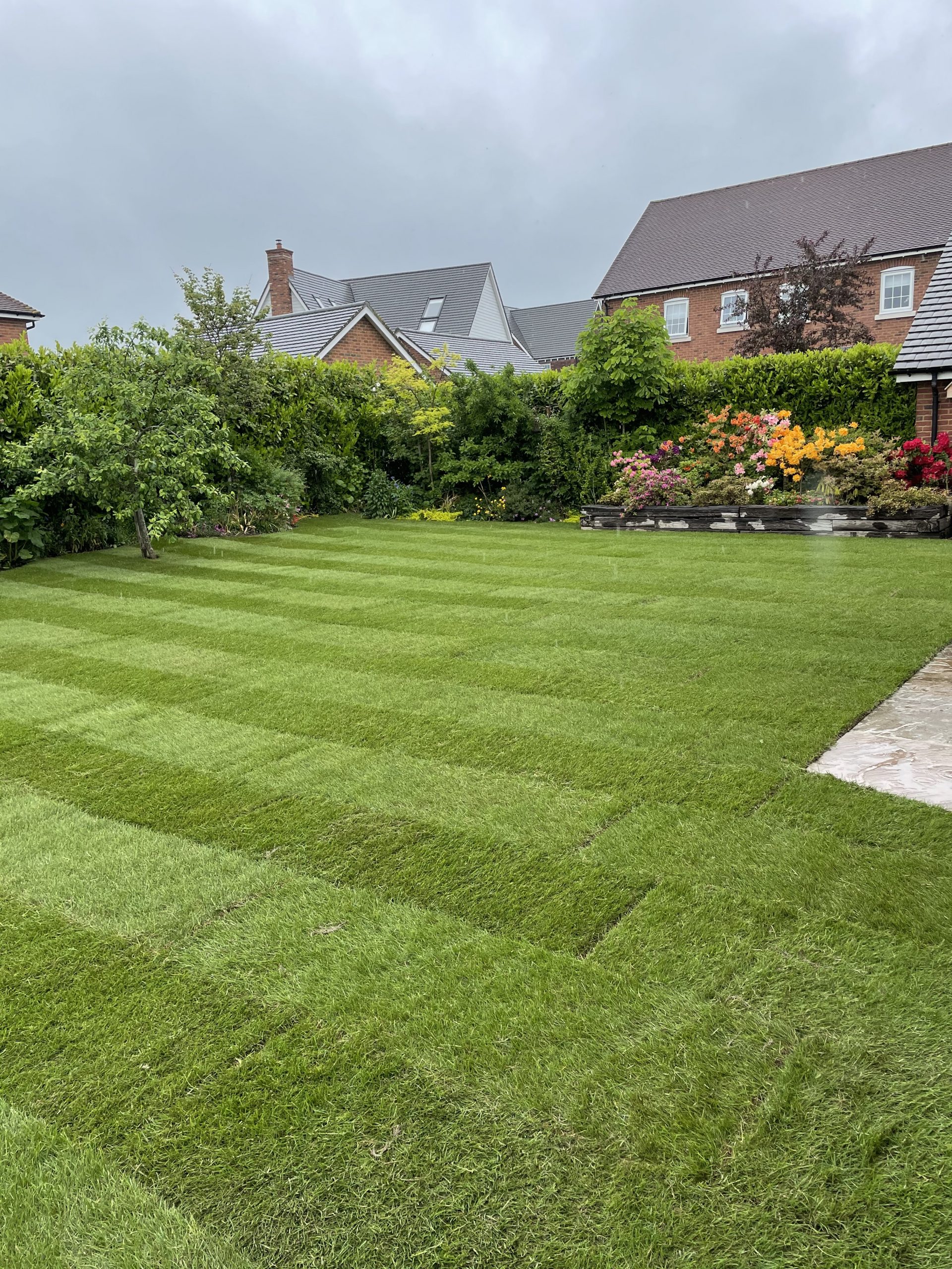 IMG-8736 teynham landscaping, kent, south east, garden maintenance, commercial maintenance,